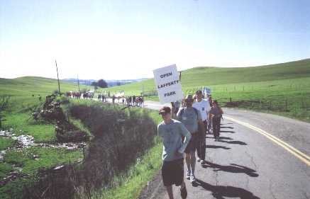 Line of marches on lower Sonoma Mountain Road