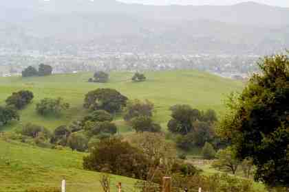 View of Petaluma Valley from just below Lafferty gate.