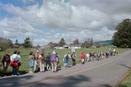 Walkers on Sonoma Mountain Road